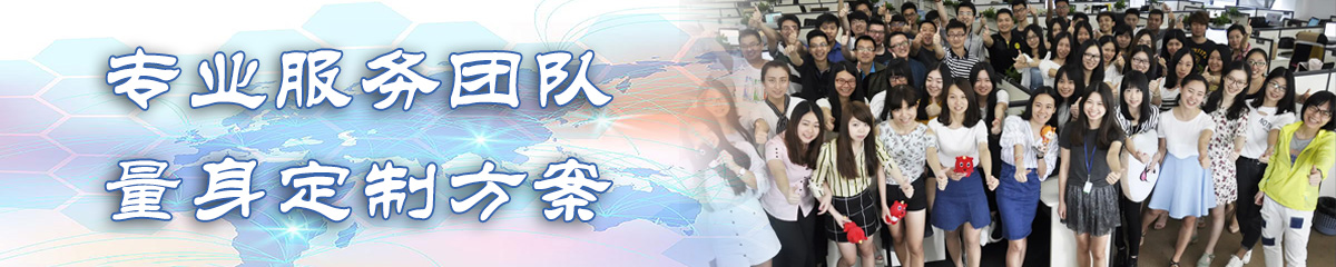 阜阳BI软件
